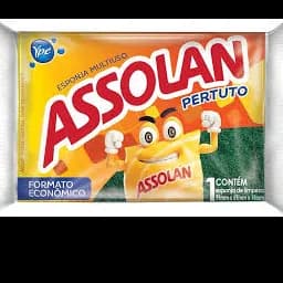 Esponja multiuso Assolan